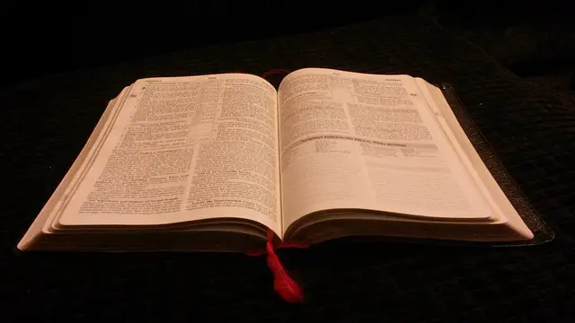 Ein aufgeschlagenes Buch. Beispielbild für den Beitrag "Text ohne Substantive - Die Auflösung"