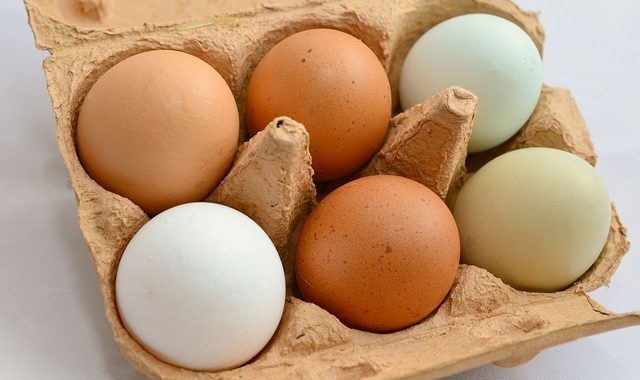 Hühnereier in verschiedenen Farben: braun und weiß. Symbolbild für die Frage, warum manche Hühnereier braun sind und manche weiß.