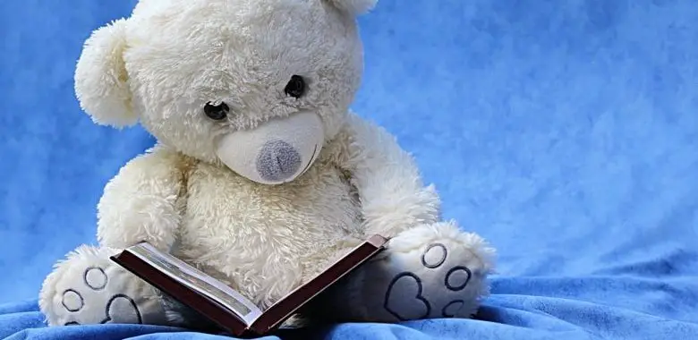 Ein Teddybär liest ein Buch. Symbolbild für die Lesetipps November 2016.