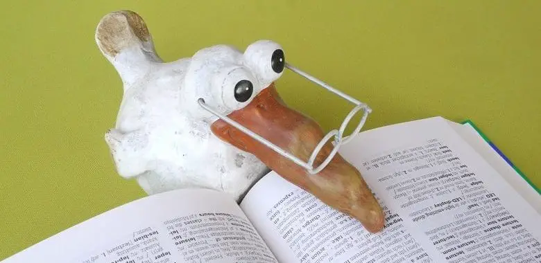 Ein Vogel guckt in ein aufgeschlagenes Buch. Symbolbild für die schönsten langen deutschen Wörter, sogenannte Bandwurmwörter.