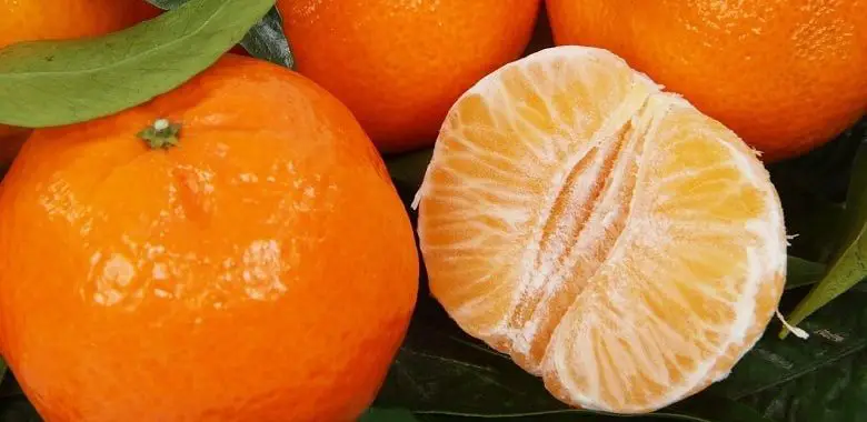 Mehrere ungeschälte Clementinen und eine geschälte Clementine. Symbolbild für den Text, der die Unterschiede zwischen Mandarinen und Clementinen erklärt.