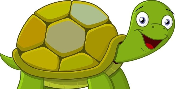 Eine Grafik einer lächelnden grünen Schildkröte mit braunem Panzer. Symbolbild für die 100-Wörter-Geschichte: "Schildkröte Fritz beeindruckt seine Freunde".