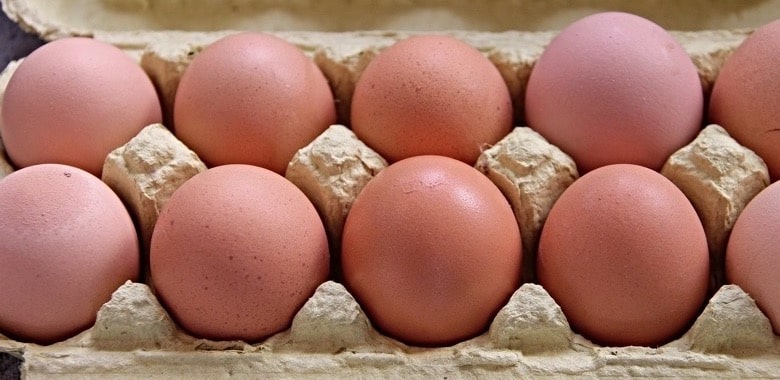 Braune Oder Weiße Eier