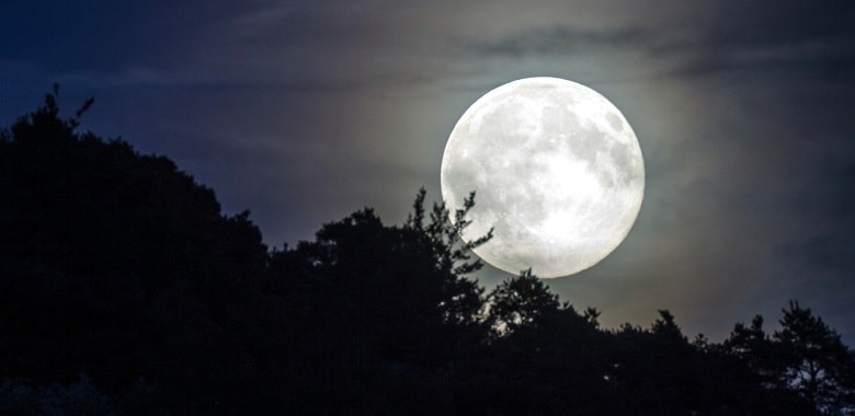 Ein großer Mond hinter Bäumen. Symbolbild für die Erklärung, was ein Supermond ist.