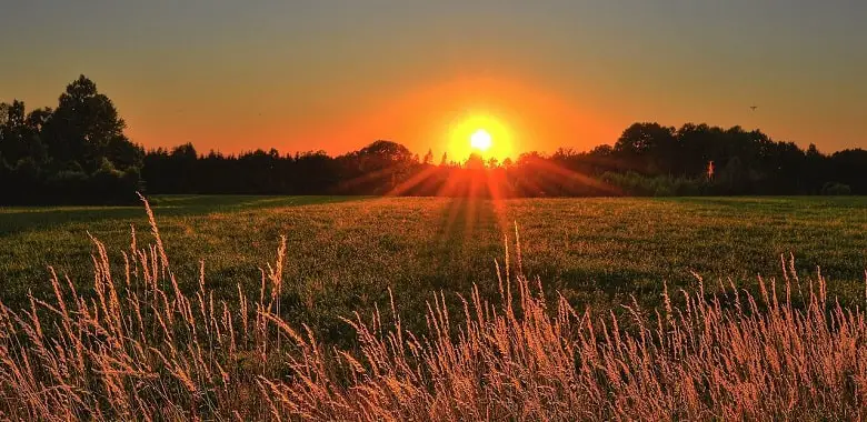 Die Sonne geht über einem Feld mit Gras unter. Symbolbild für die 100-Wörter-Sonntagsgeschichte "Sonntagabend".