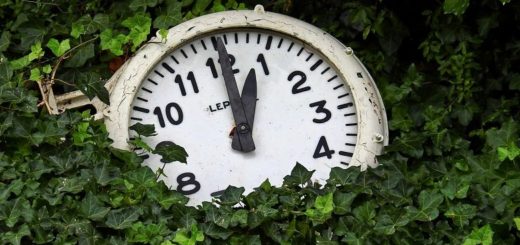 Eine Uhr liegt in grünen Efeu-Blättern. Symbolbild für die Erklärung des Begriffs Grüne Stunde.