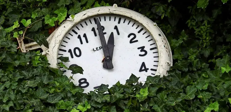 Eine Uhr liegt in grünen Efeu-Blättern. Symbolbild für die Erklärung des Begriffs Grüne Stunde.
