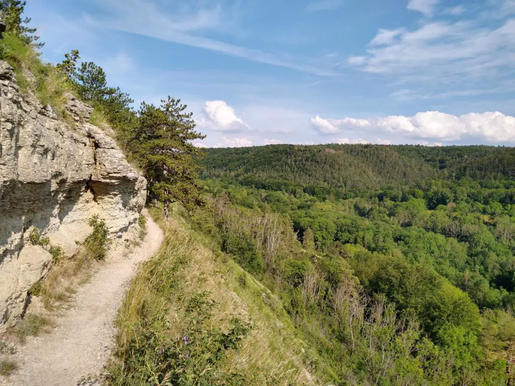 Muschelkalk an der Mittleren Horizontalen
